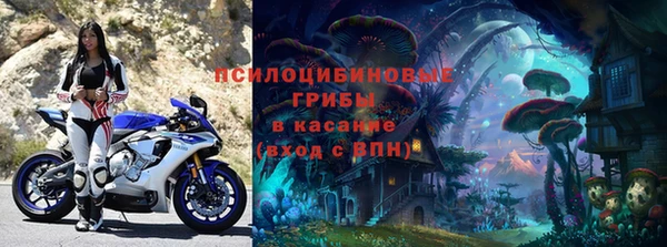 гашик Аркадак