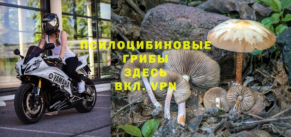MDMA Армянск