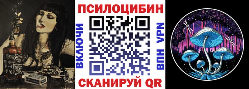 Псилоцибиновые грибы мицелий  Купить  Баксан 
